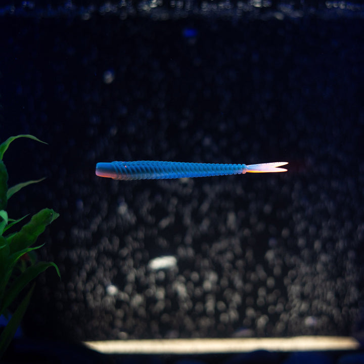 Arrow