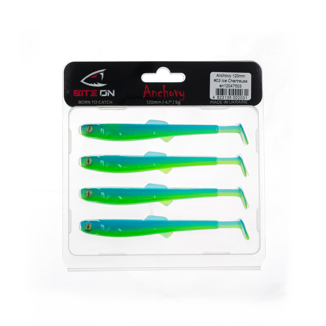 Anchovy