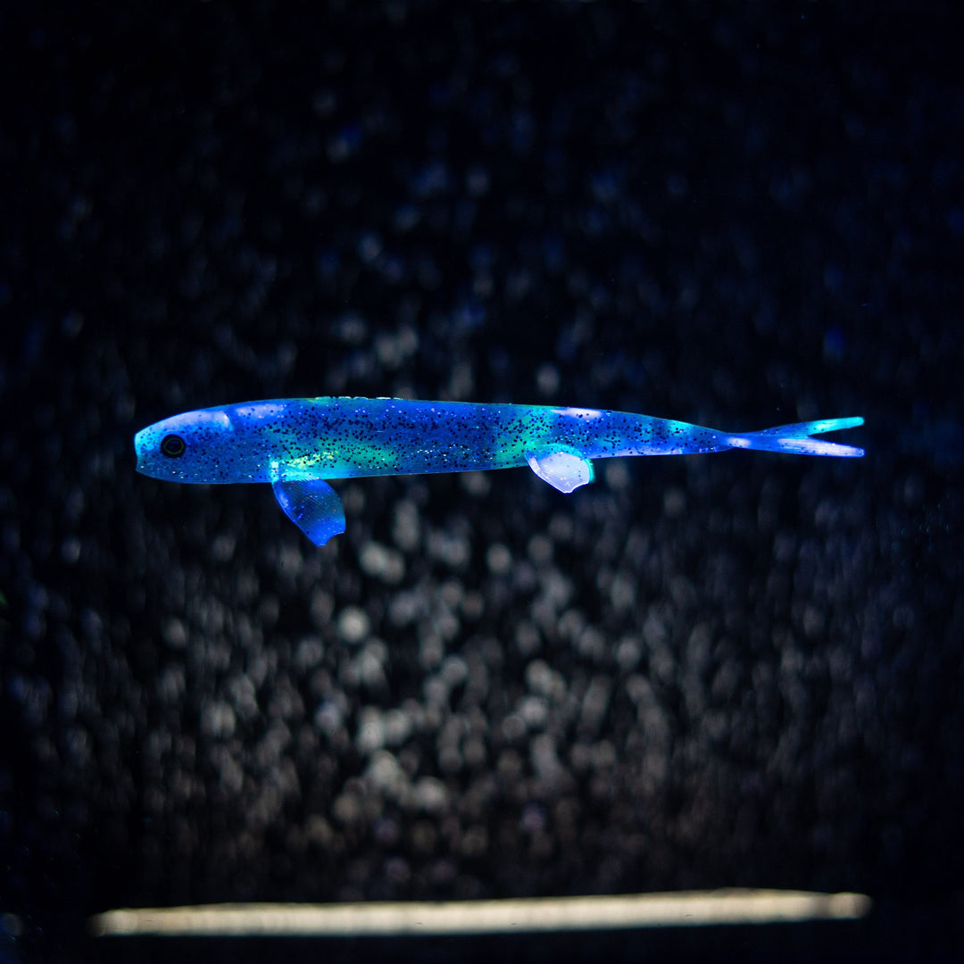 Pelagic Wizard