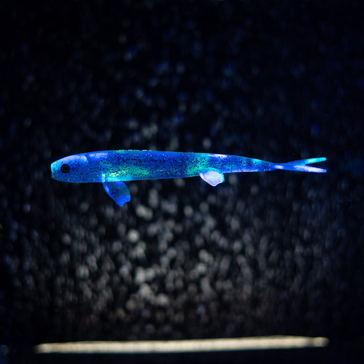 Pelagic Wizard