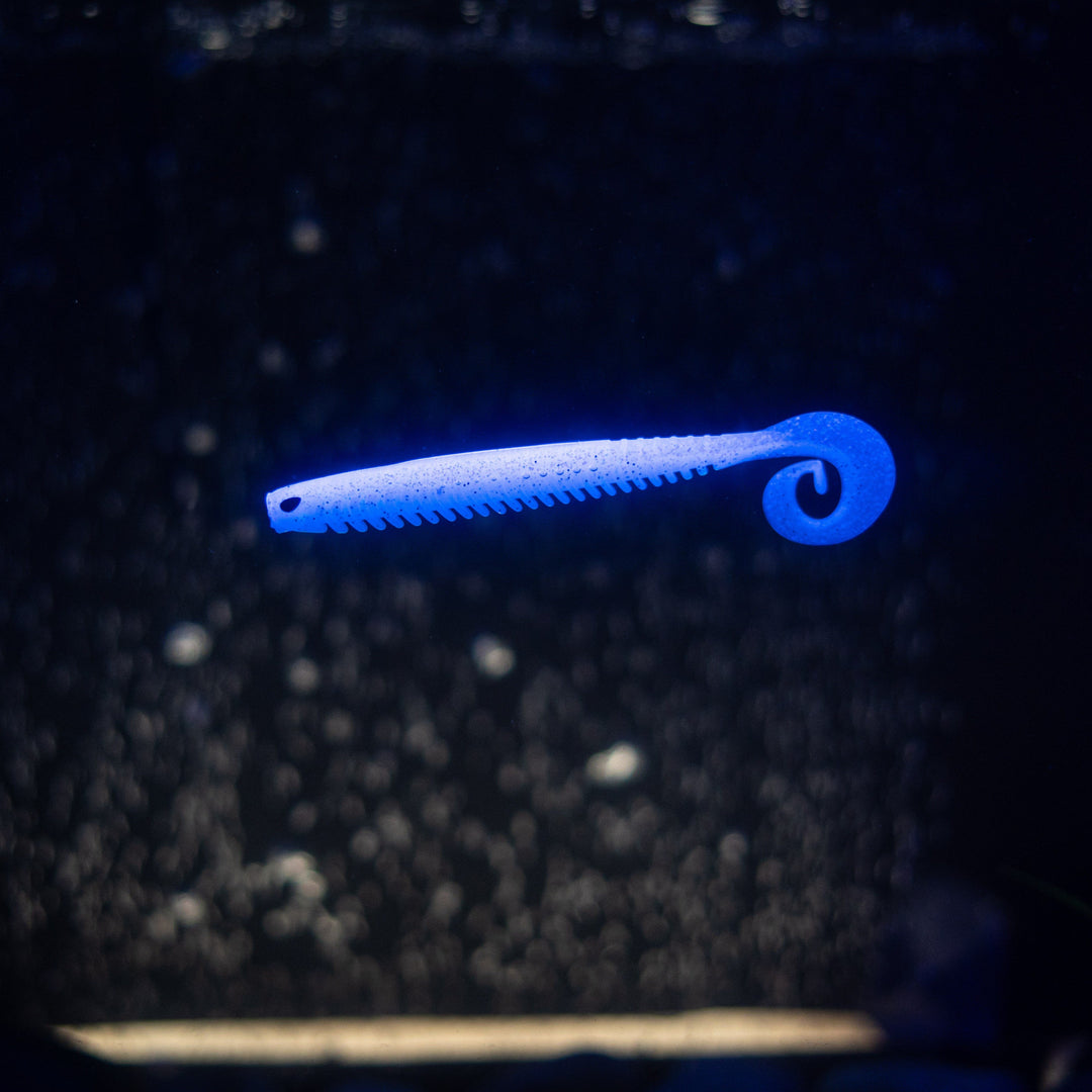 Rib Worm