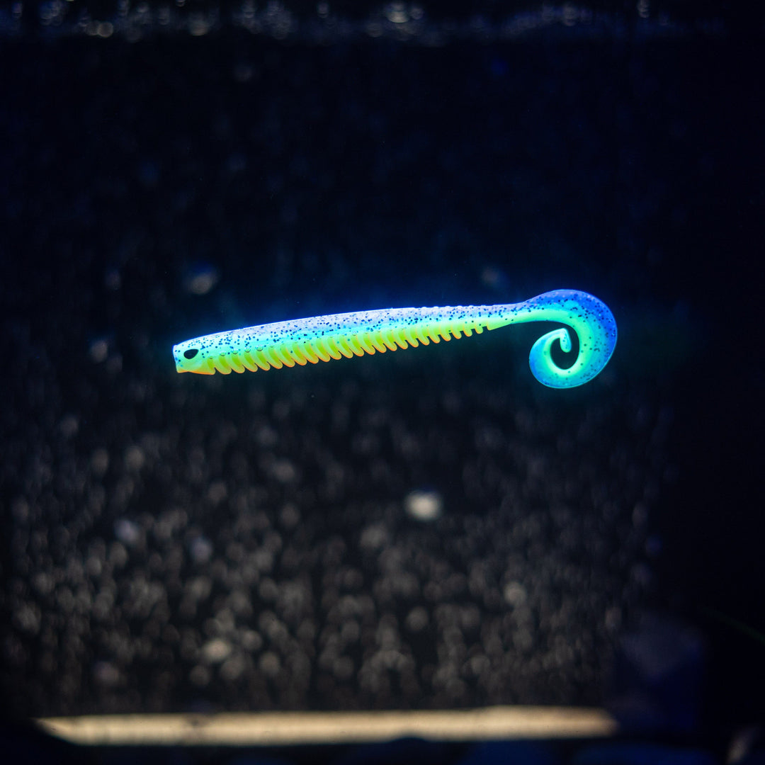 Rib Worm