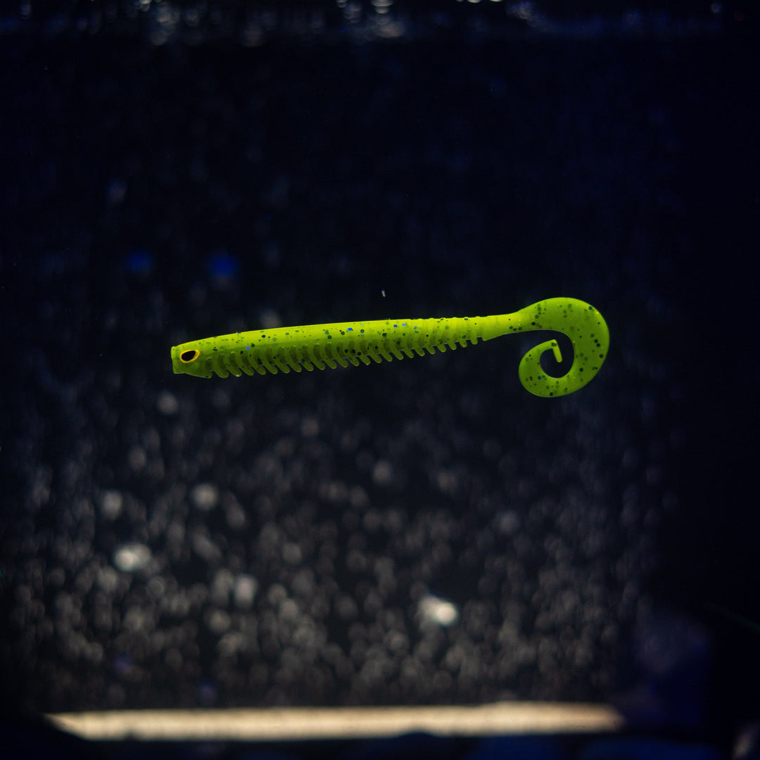 Rib Worm