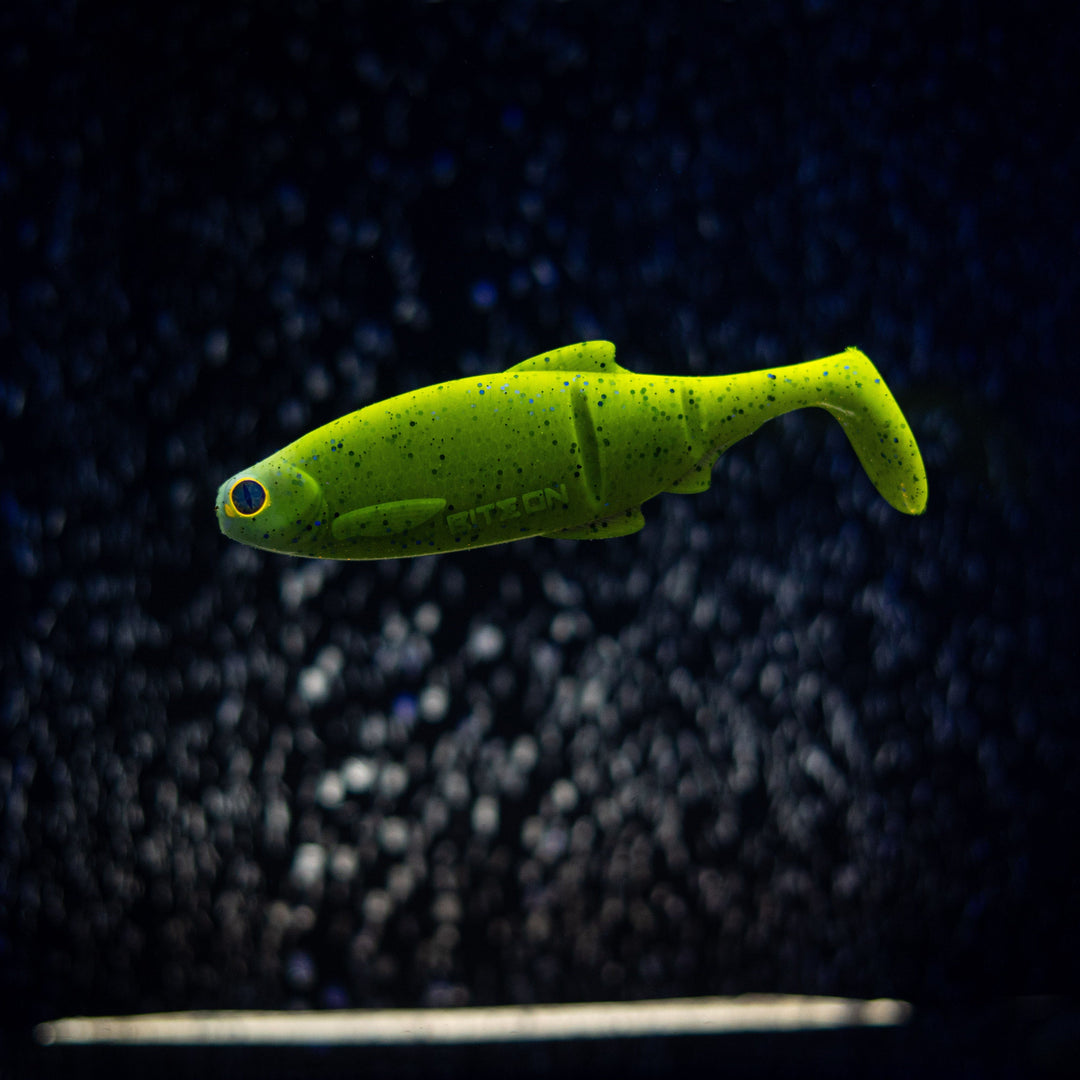 Luky Roach
