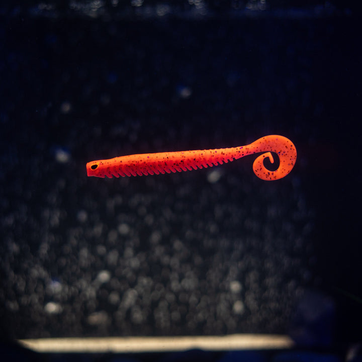 Rib Worm