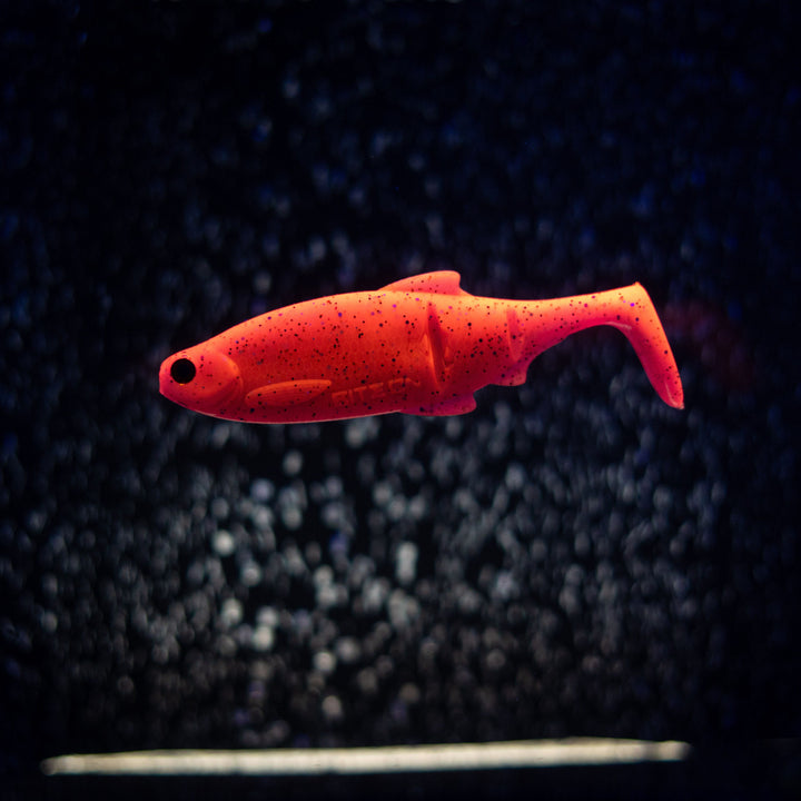 Luky Roach