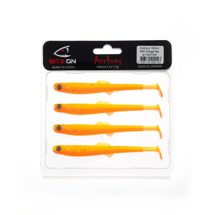 Anchovy