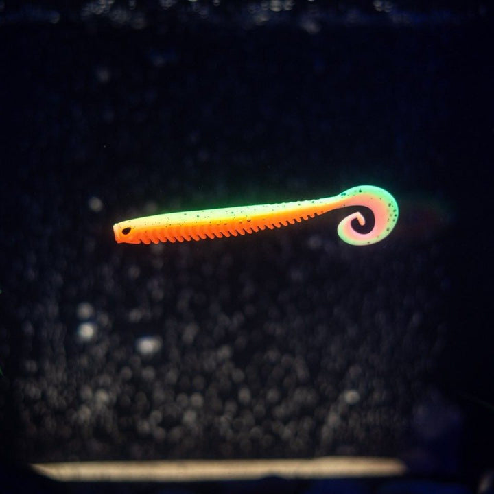 Rib Worm