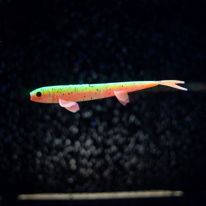 Pelagic Wizard