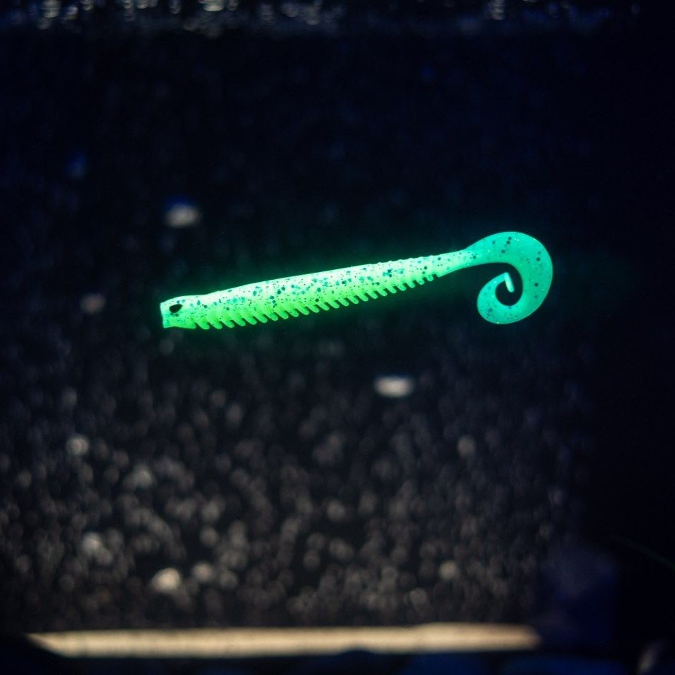Rib Worm
