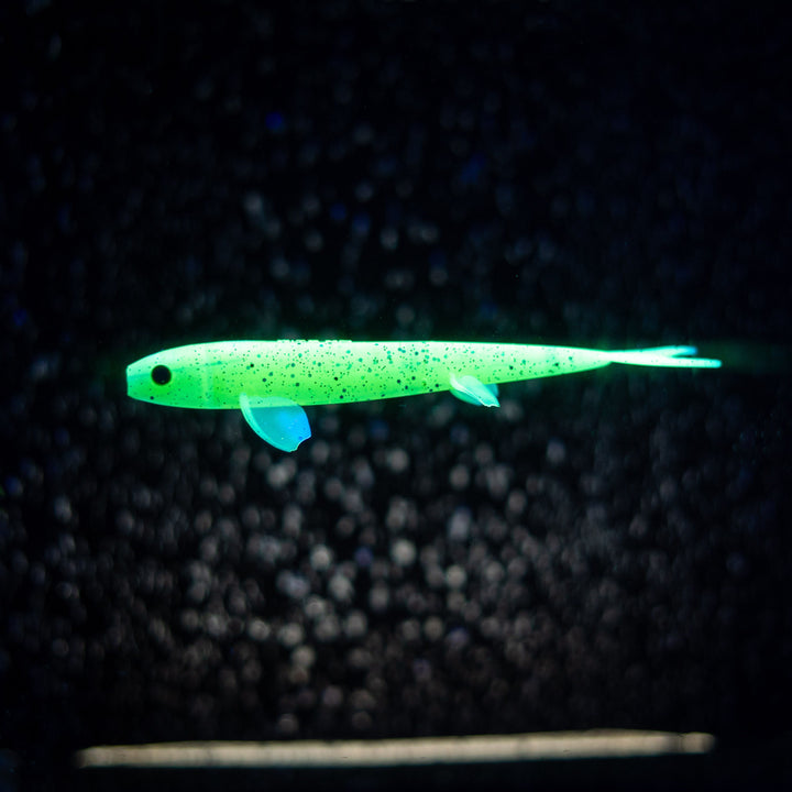 Pelagic Wizard