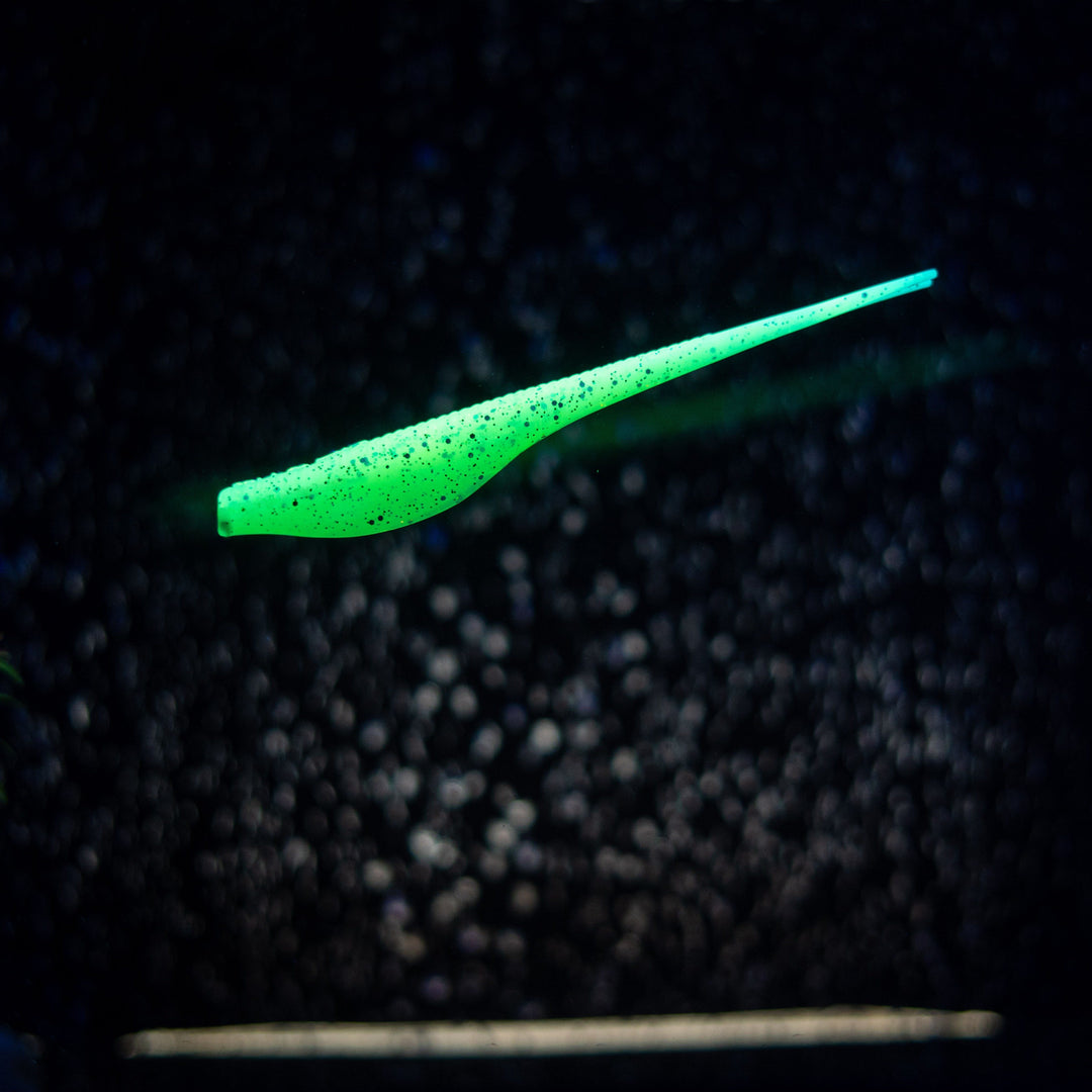 Slug Impact