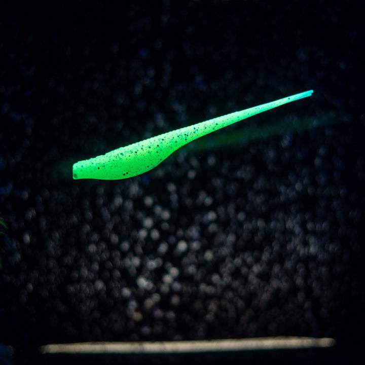 Slug Impact
