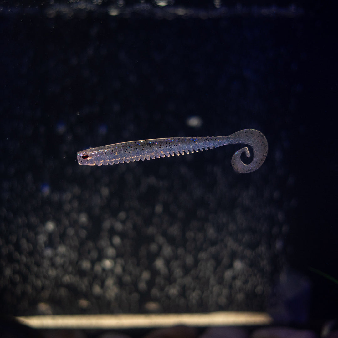 Rib Worm