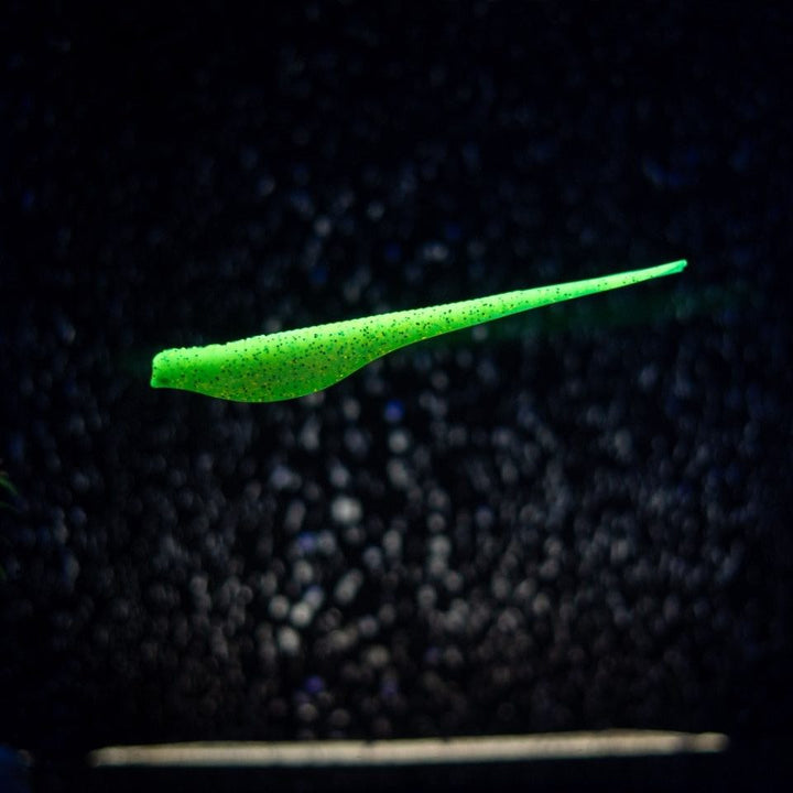 Slug Impact
