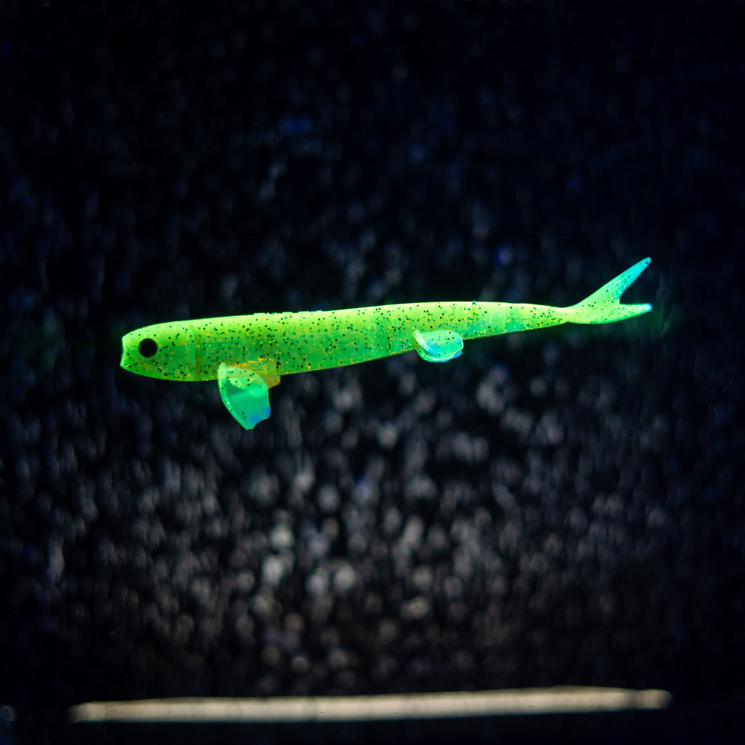 Pelagic Wizard