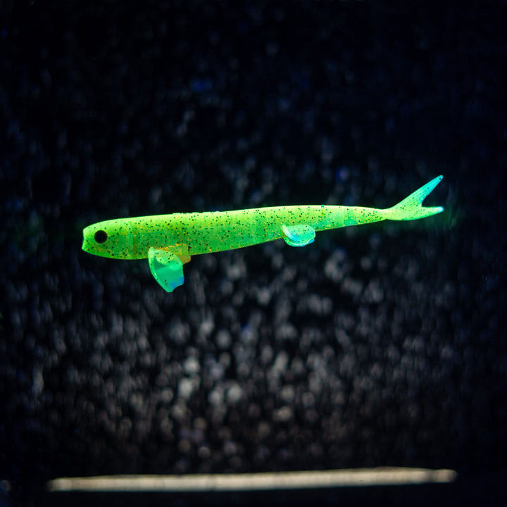 Pelagic Wizard