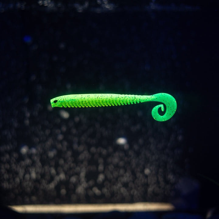 Rib Worm