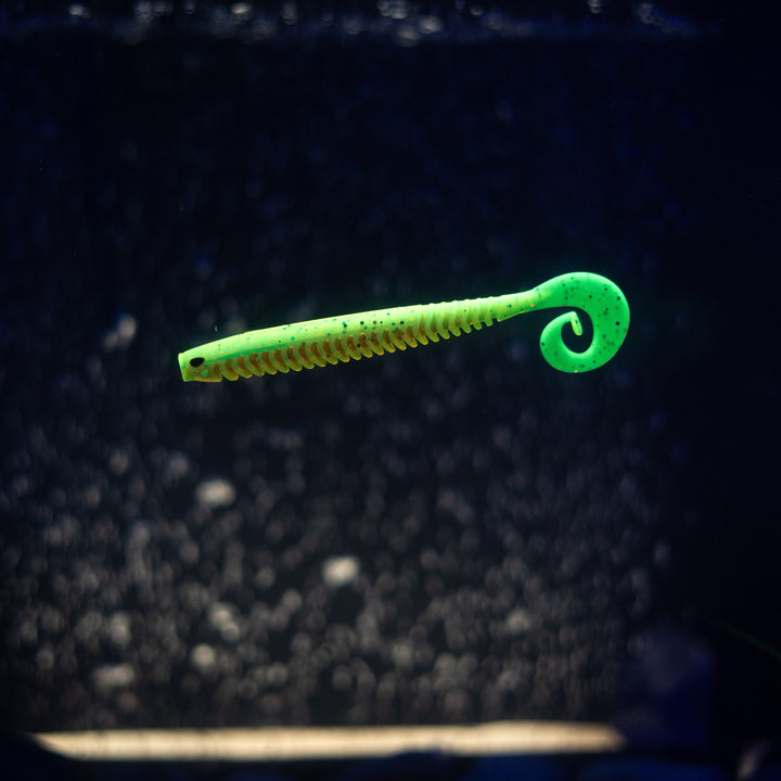 Rib Worm