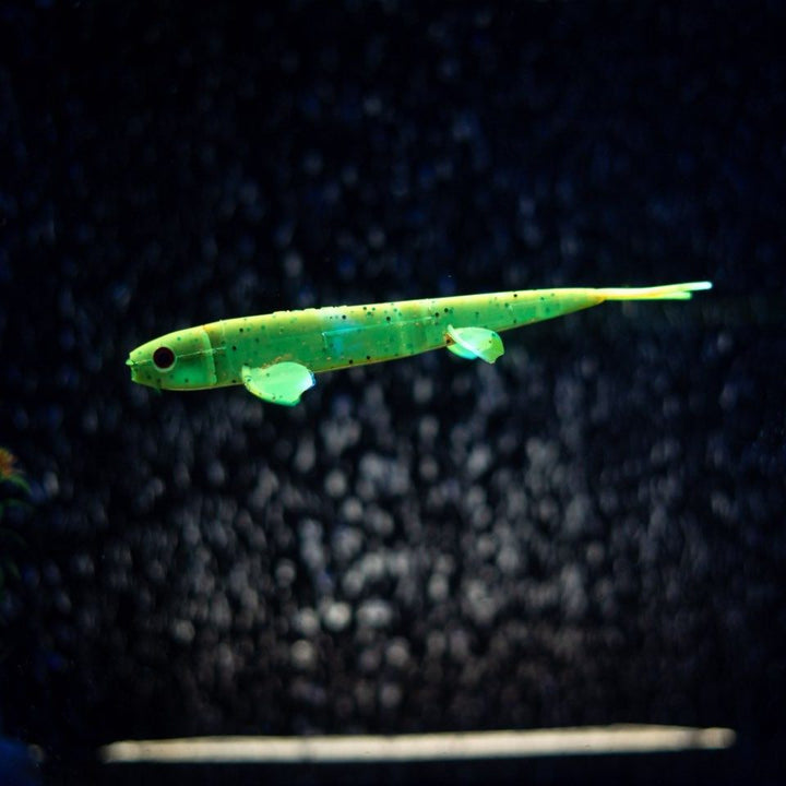 Pelagic Wizard