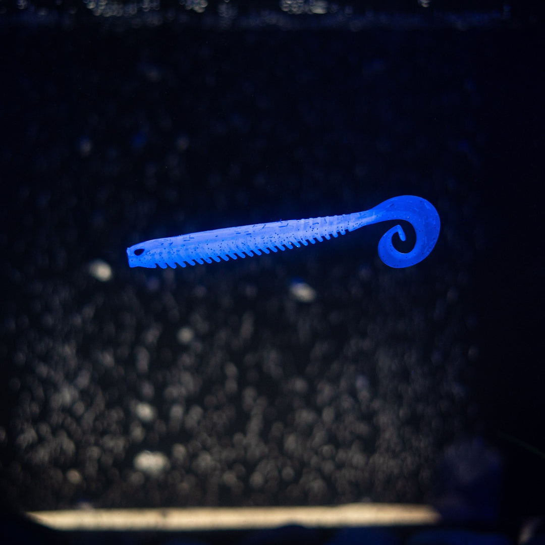 Rib Worm