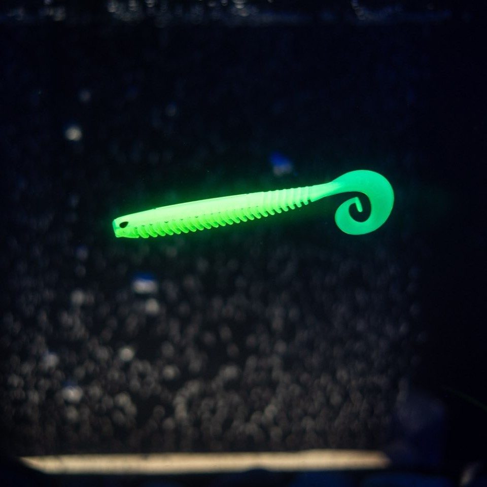 Rib Worm