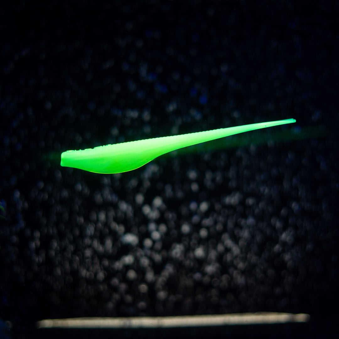Slug Impact