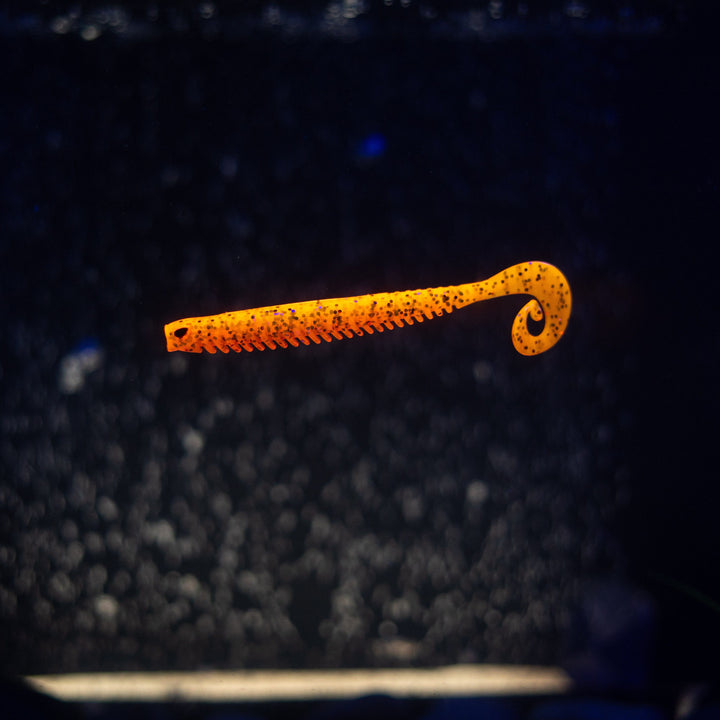 Rib Worm