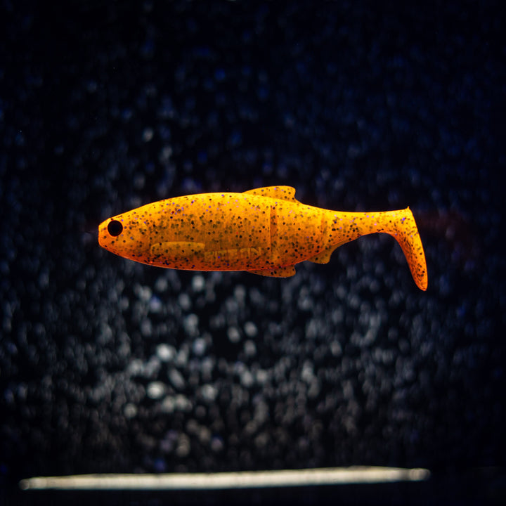 Luky Roach
