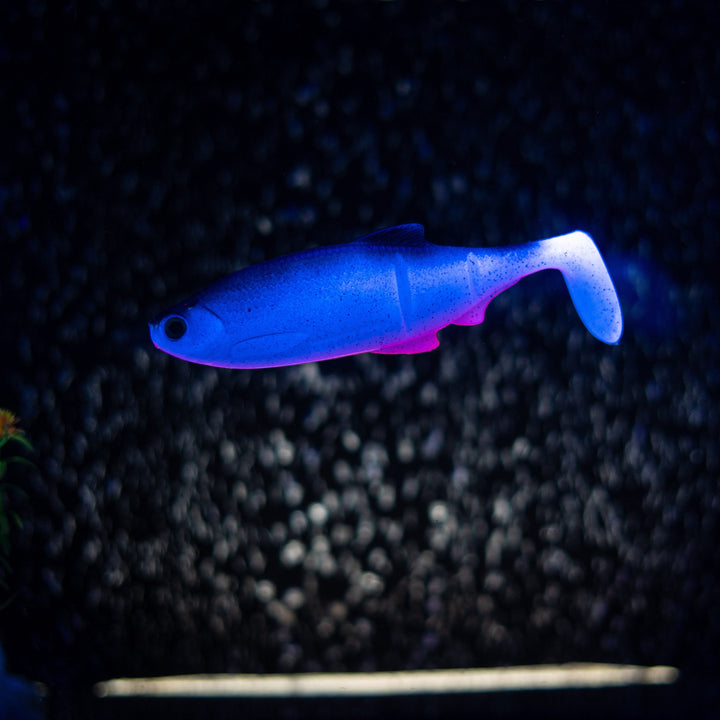 Luky Roach