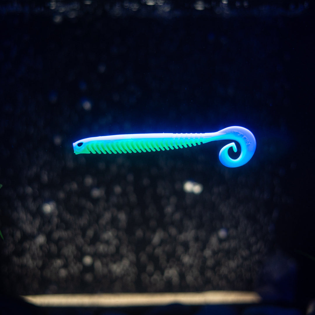 Rib Worm
