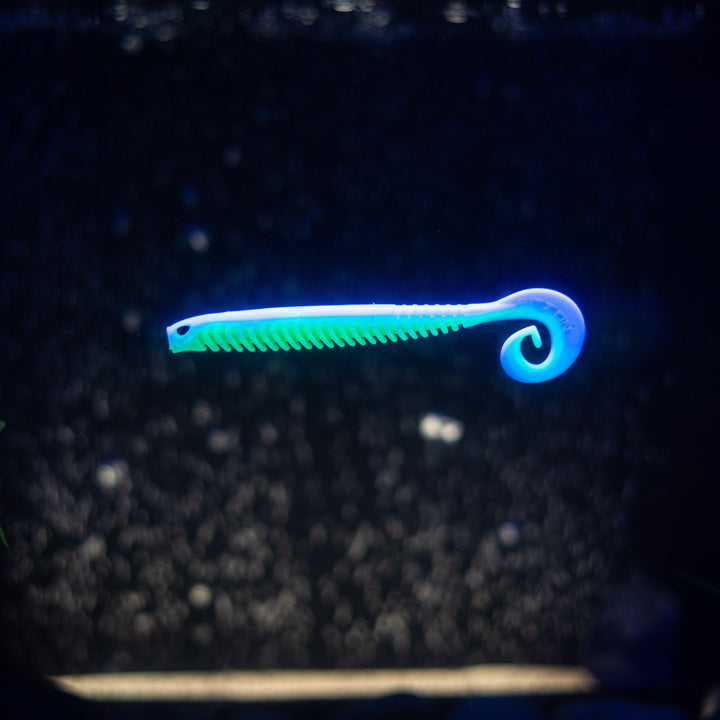 Rib Worm