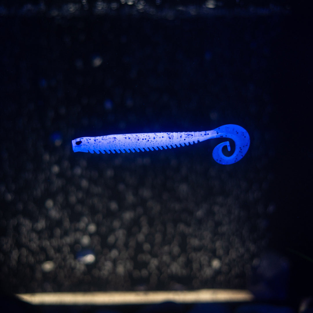 Rib Worm