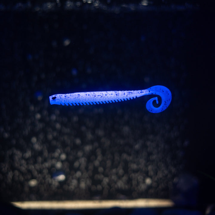 Rib Worm