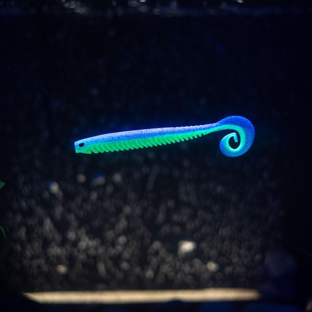 Rib Worm
