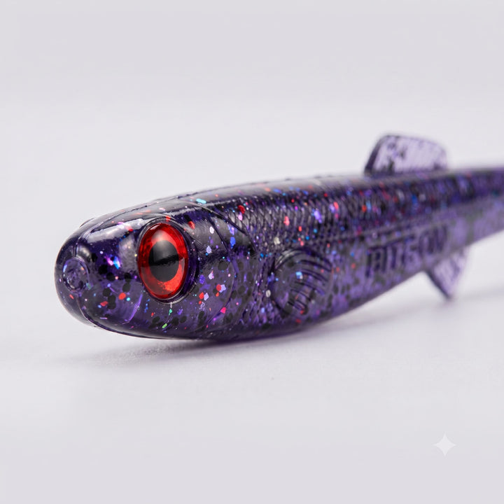 Anchovy