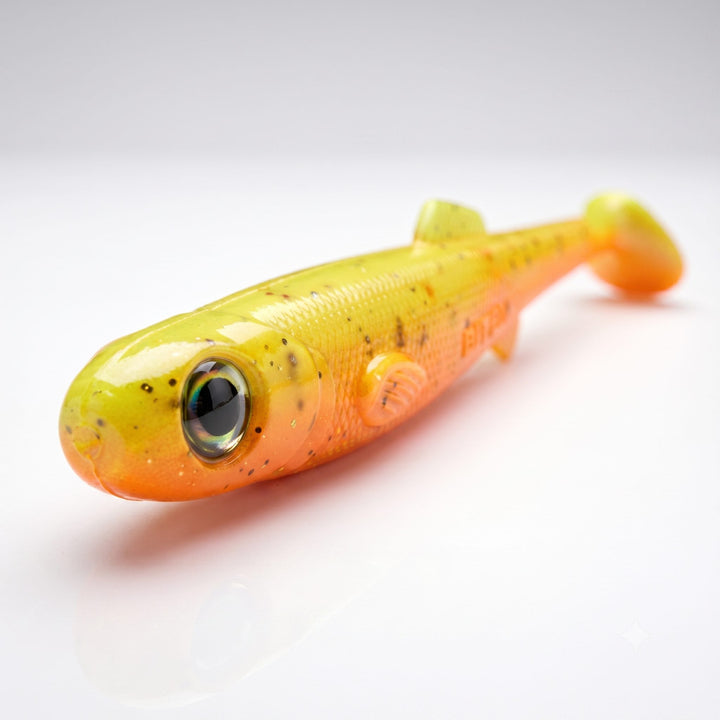 Anchovy