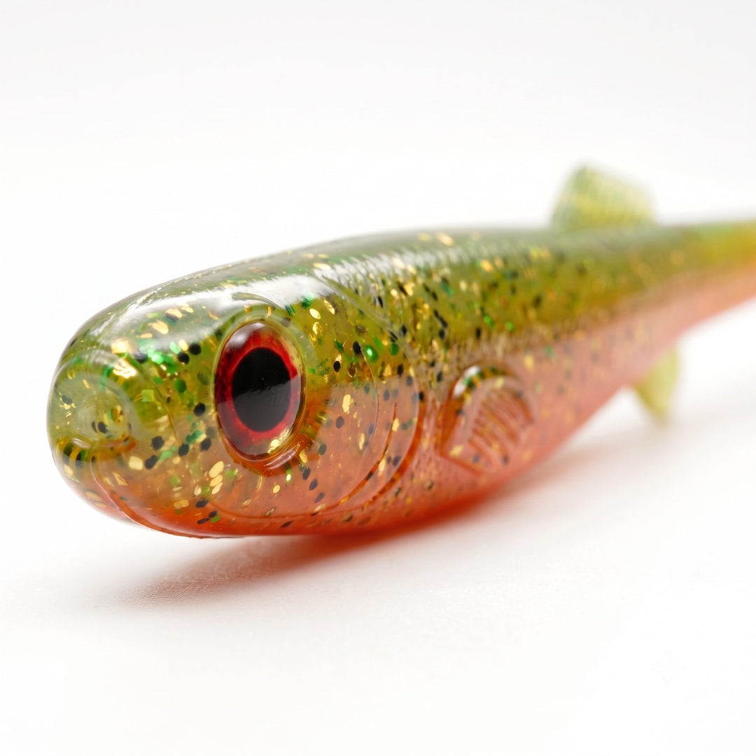 Anchovy