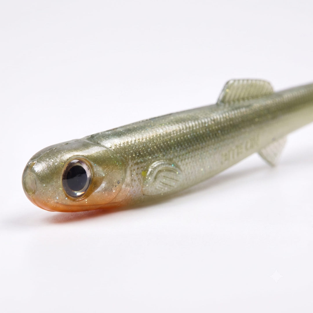 Anchovy