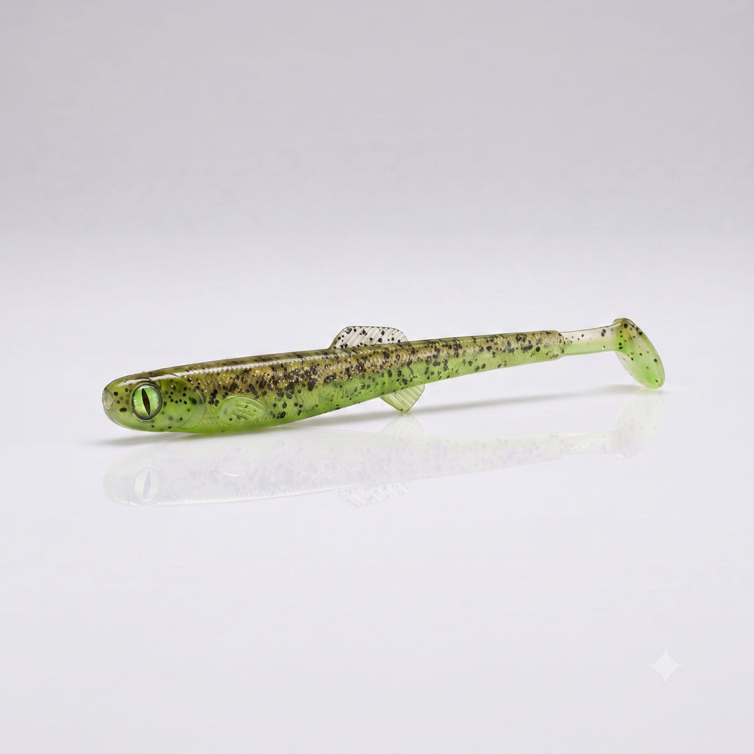 Anchovy