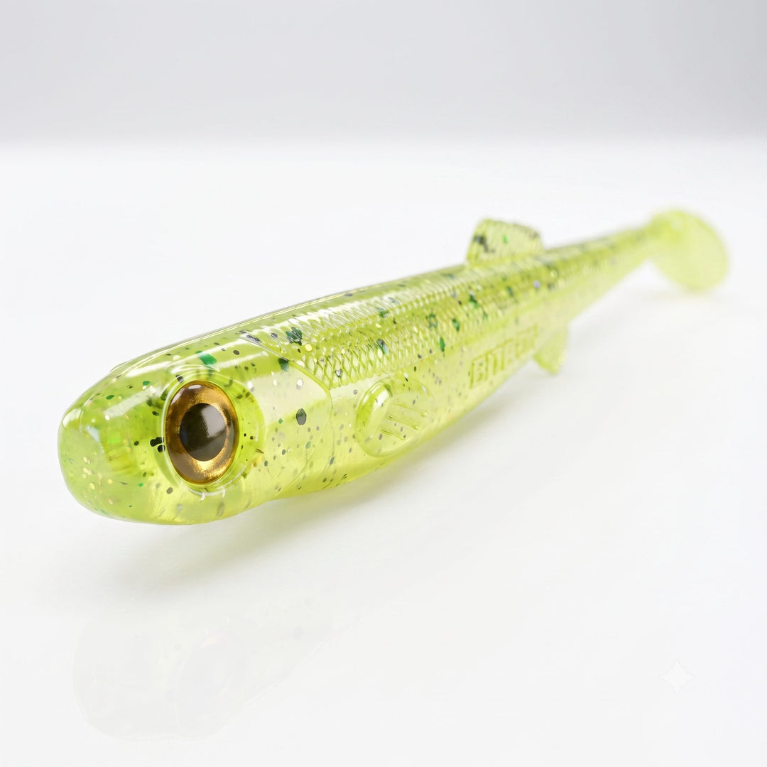 Anchovy