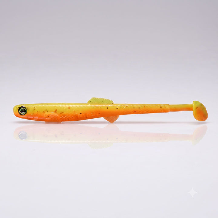 Anchovy