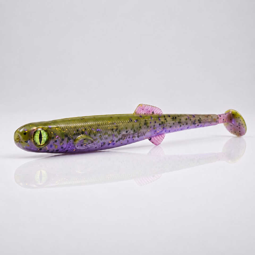 Anchovy