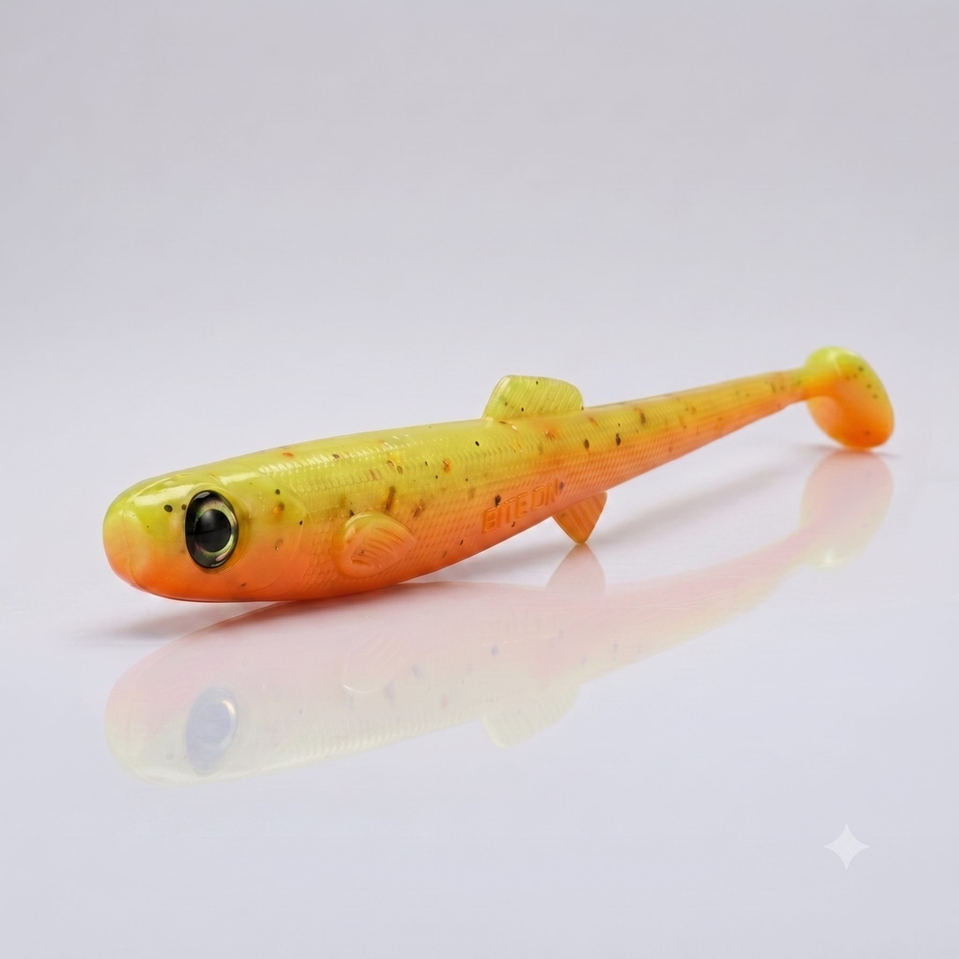 Anchovy